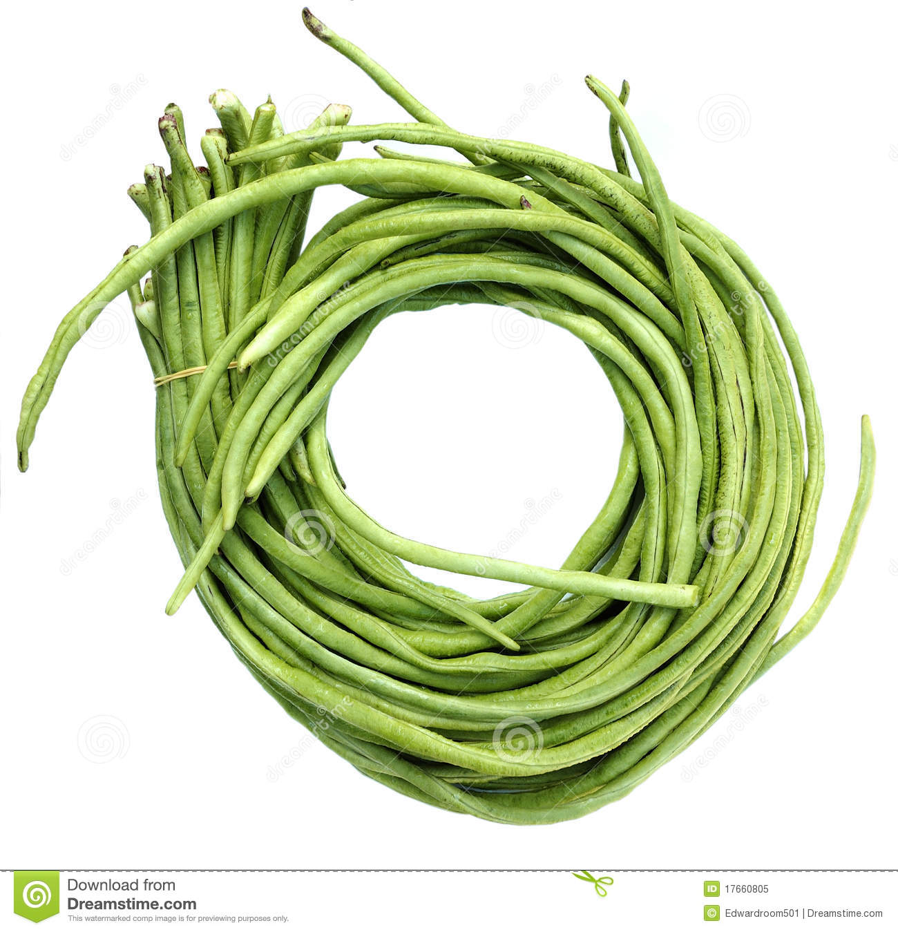 Clipart String Bean People
