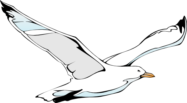 Flying Sea Gull Clip Art At Clker Com   Vector Clip Art Online    