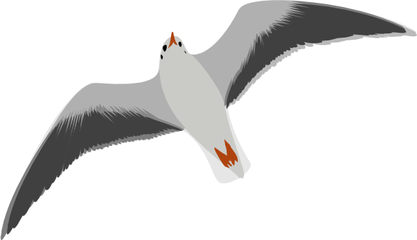 Seagull Clipart Black And White   Clipart Panda   Free Clipart Images