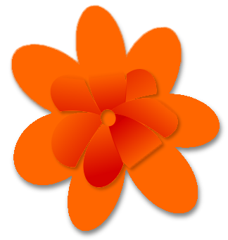 Tropical Orange Splash    Plants Flowers Colors Tropical Orange Splash