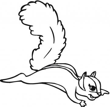 15 Flying Squirrel Cartoon   Free Cliparts That You Can Download To    