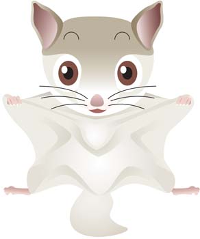 Flying Squirrel Clip Art   Clipart Me