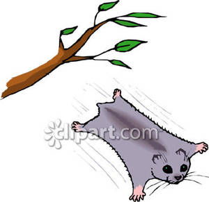 Flying Squirrel Jumping Out Of A Tree   Royalty Free Clipart Picture