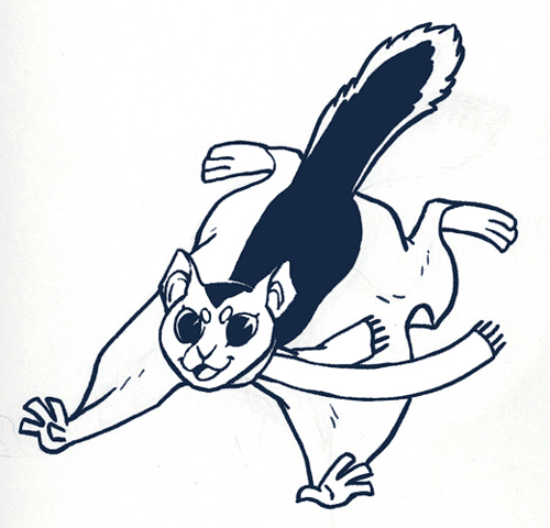 Flying Squirrel Mascot   Flickr   Photo Sharing 