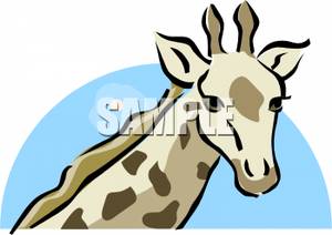 Giraffe Face   Royalty Free Clipart Picture