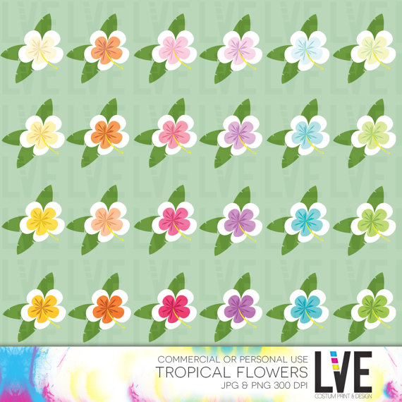 Hawaii Flower Clipart Images Graphics Images By Lvexdigitalscraps