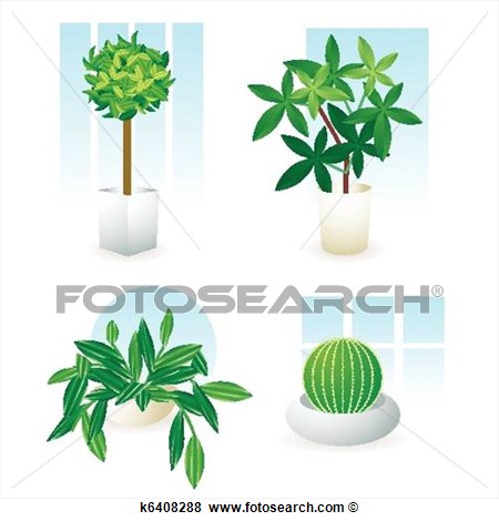 It Is An Illustration Of The Foliage Plant That Becomes An Interior