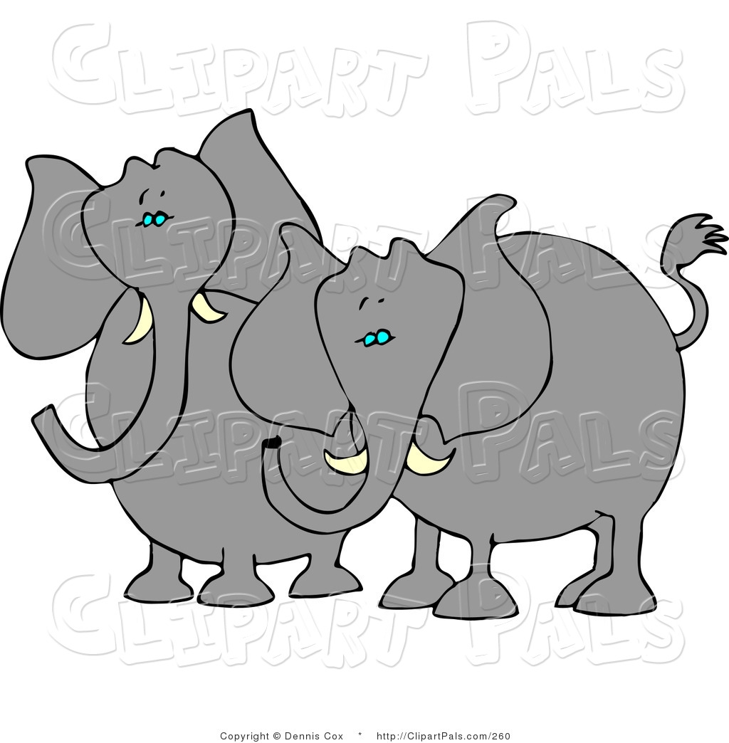 Larger Preview  Pal Clipart Of Two Elephants With Tusks Standing Next    