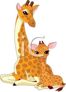 Mother And Baby Giraffe   Royalty Free Clipart Picture