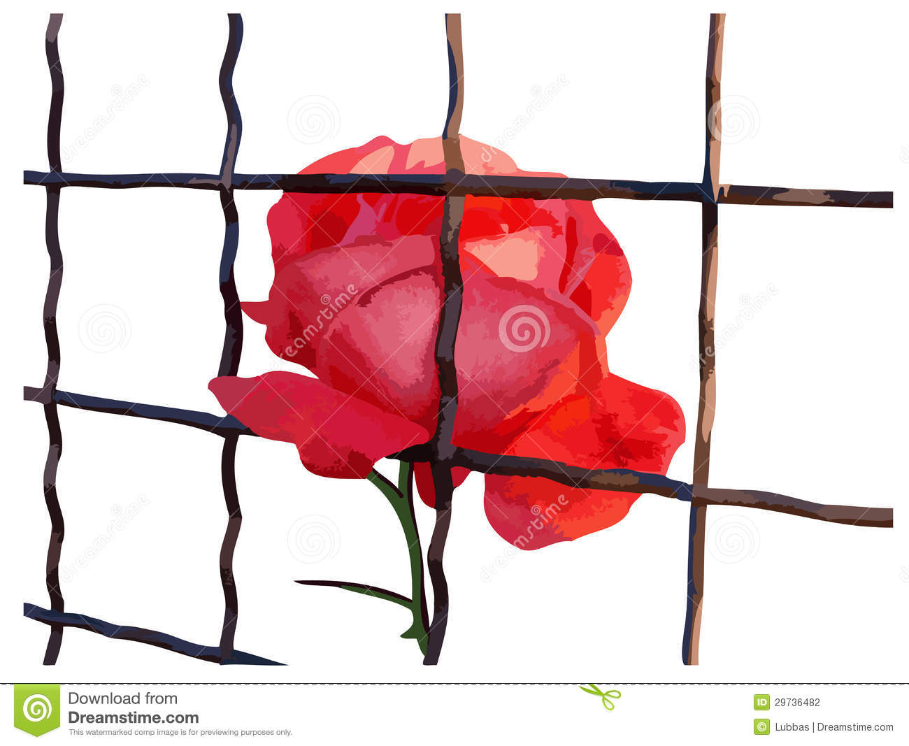 Red Rose Behind Bars Stock Photography   Image  29736482