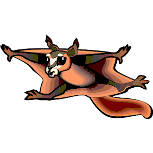 Squirrel Flying Clipart Cliparts Of Squirrel Flying Free Download