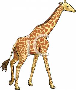 Tall Giraffe   Royalty Free Clipart Picture