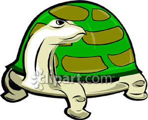 Turtle With Long Neck   Royalty Free Clipart Picture