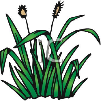 Weed Plant Clip Art