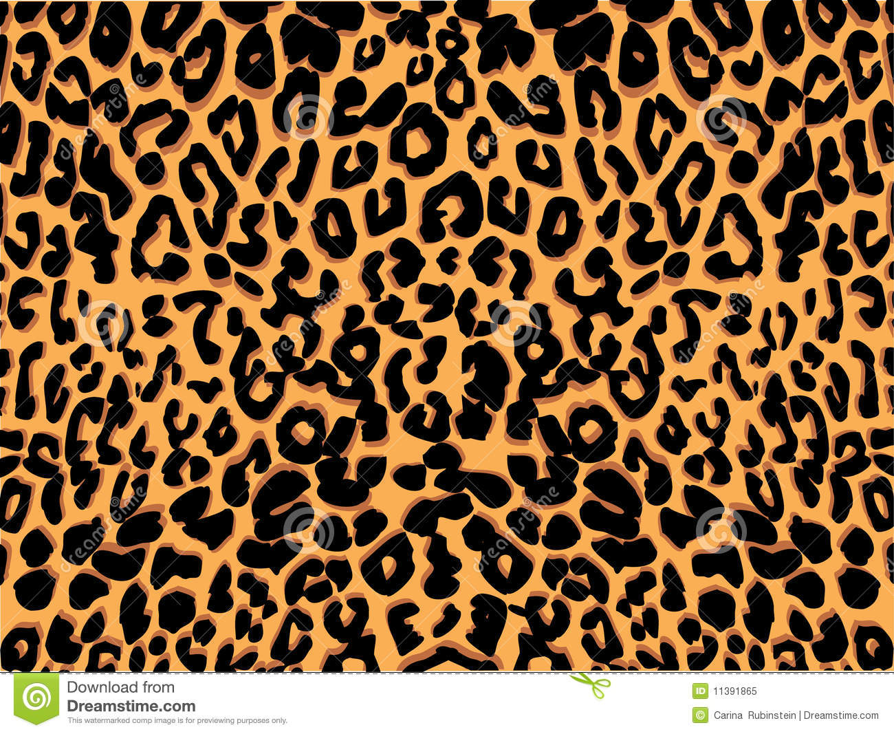 Leopard Print Pattern Royalty Free Stock Photo   Image  11391865