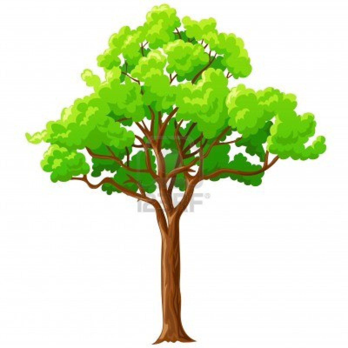 Tree Background Wallpaper   Clipart Panda   Free Clipart Images