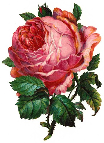     Vintage Holiday Crafts   Blog Archive   Free Clip Art  Vintage Roses