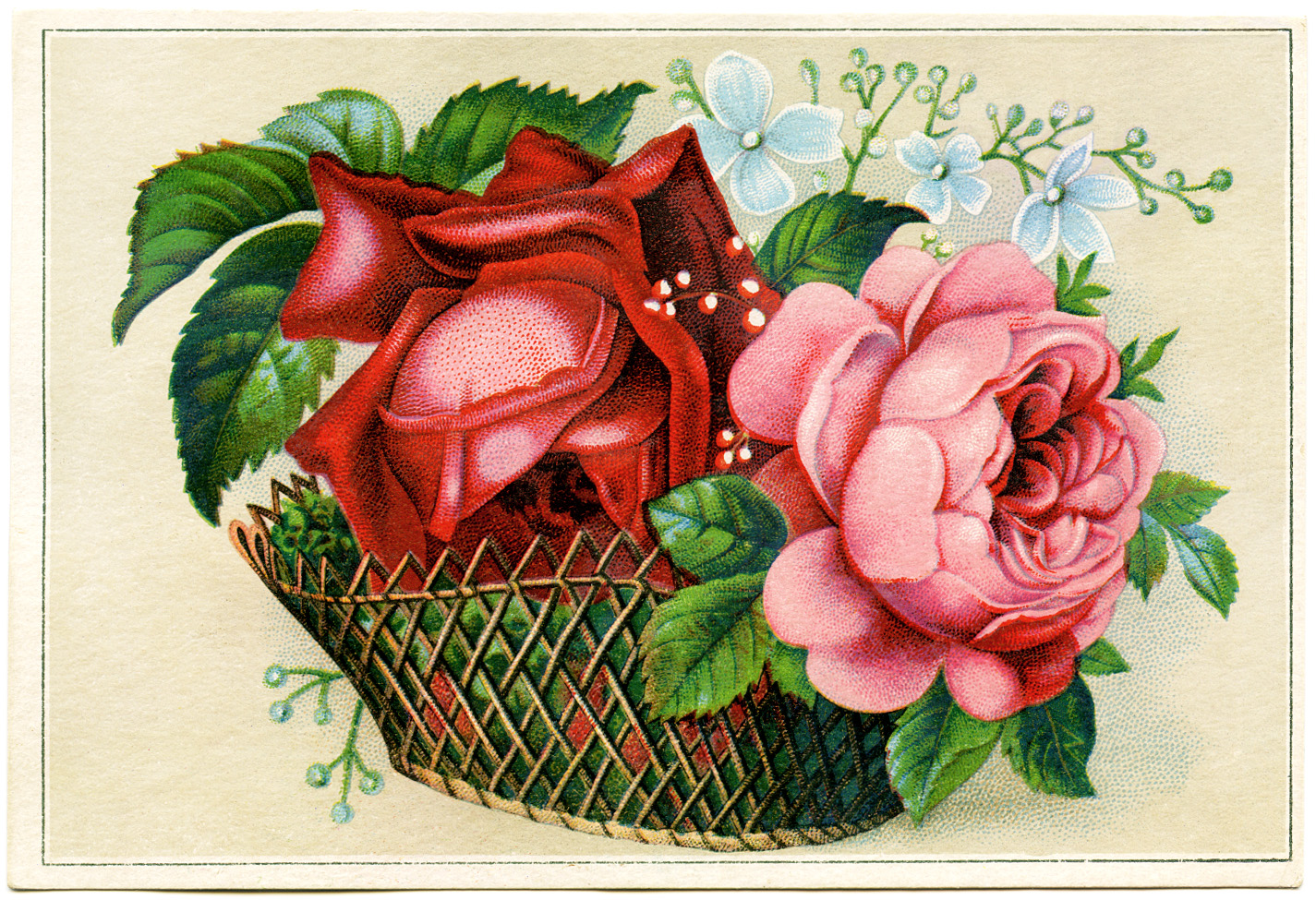 Vintage Illustration Of Flowers Antique Floral Card Digital Clipart