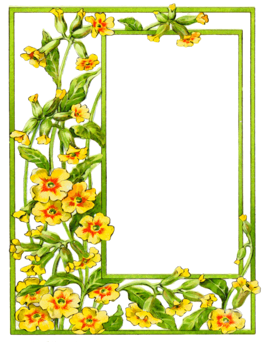 Card Frame Yellow Flowers