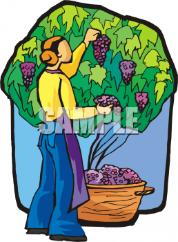 Find Clipart Harvest Clipart Image 25 Of 41