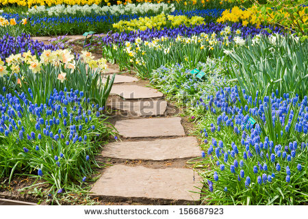 Garden Path Stock Photos Images   Pictures   Shutterstock