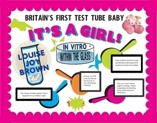 Make A Science Fair Project About The First Test Tube Baby  Test Tube
