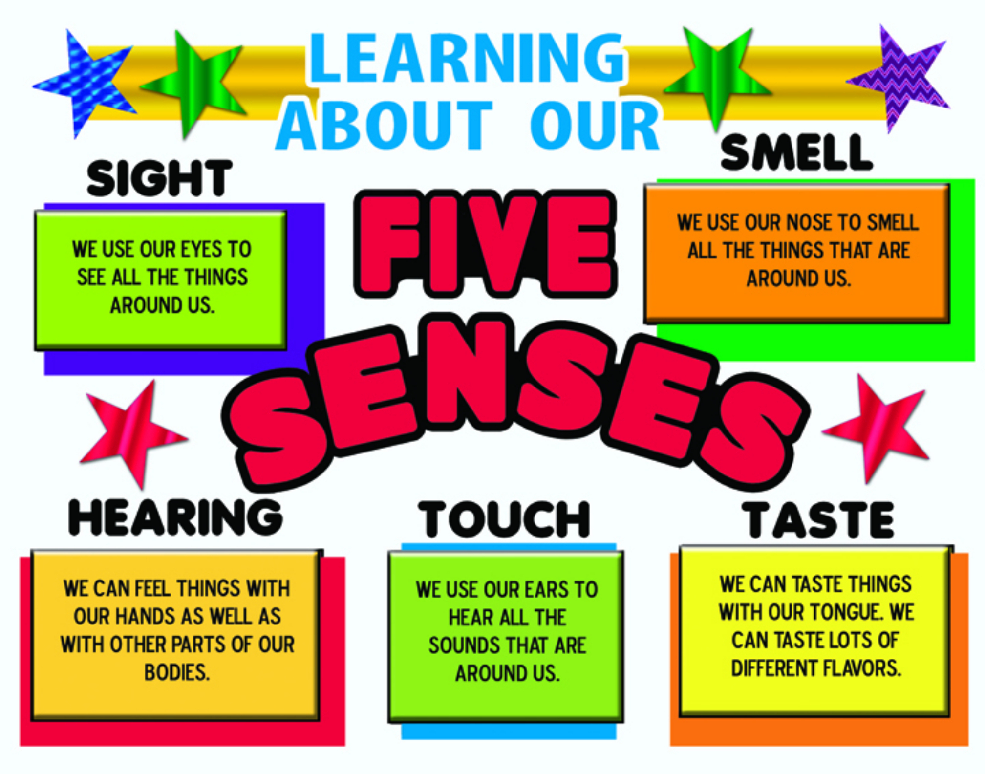Make A Science Fair Project   Poster Ideas   Five Senses   What Are