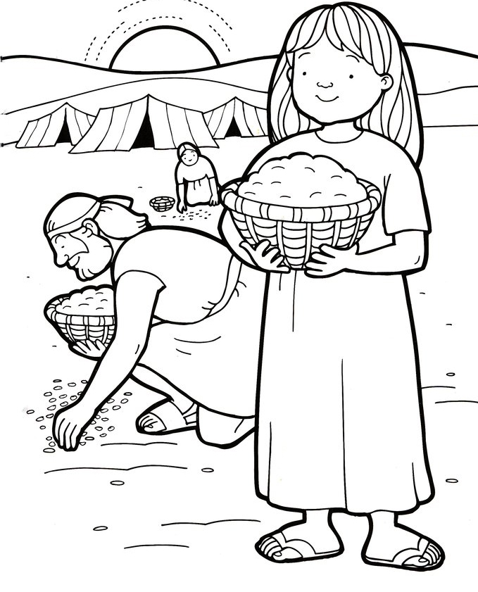 Manna From The Heaven Coloring Pages   Manna From The Heaven
