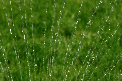 Summer Lawn Water Sprinkler   Free Photos And Art   Royalty Free High    
