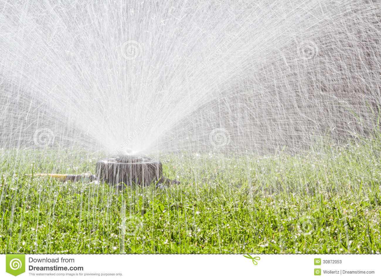 Watering The Grass In The Back Yard With A Yellow Hose And A Spray