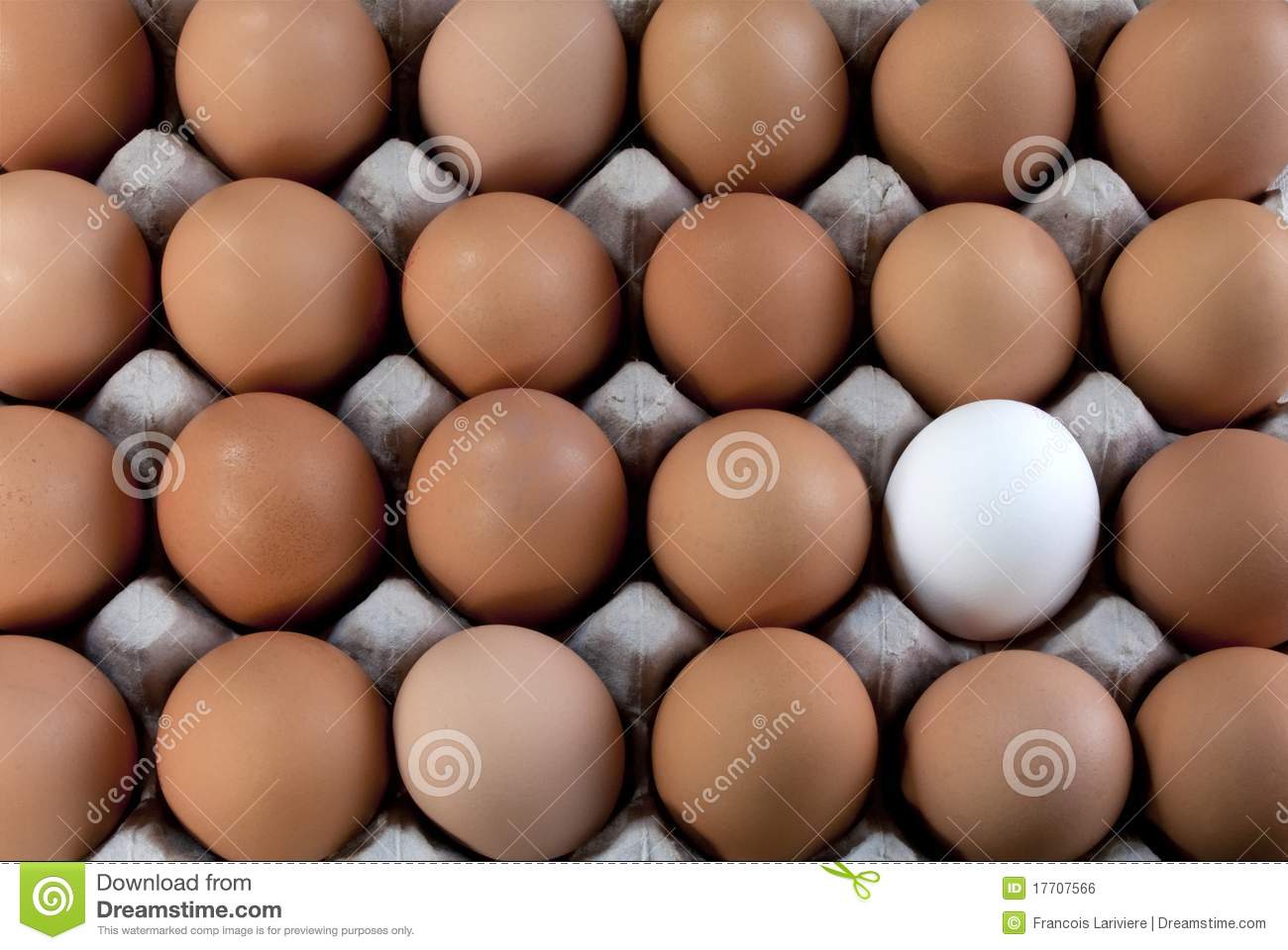 An Egg White Into Brown Eggs Visible Minority Royalty Free Stock