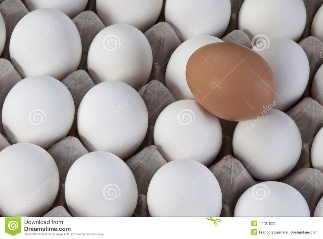 Into White Eggs Visible Minority Stock Photography   Image  17707622