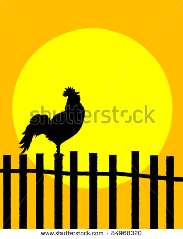 Rooster Silhouette On A Fence Announcing Sunrise   Stock Vector