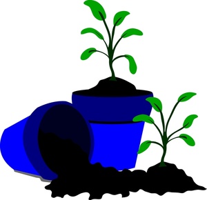     Clip Art Images Seedling Stock Photos   Clipart Seedling Pictures