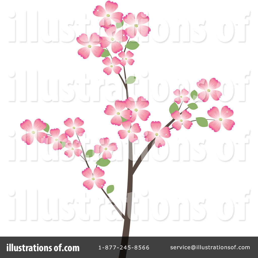 Dogwood Blossom Pictures