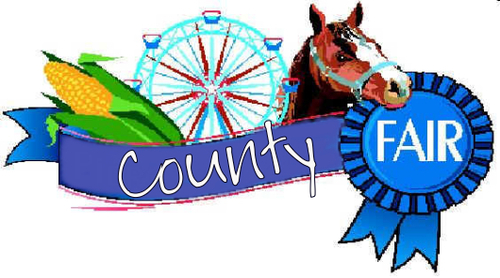 Go Until The We Head To The County Fair With The 4 H And Ffa Pigs It
