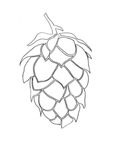 Hops Drawing Http   Www Craftster Org Forum Index Php Topic 255381 0