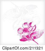Royalty Free Rf Clipart Illustration Of A Pink Dogwood Flower Blossom
