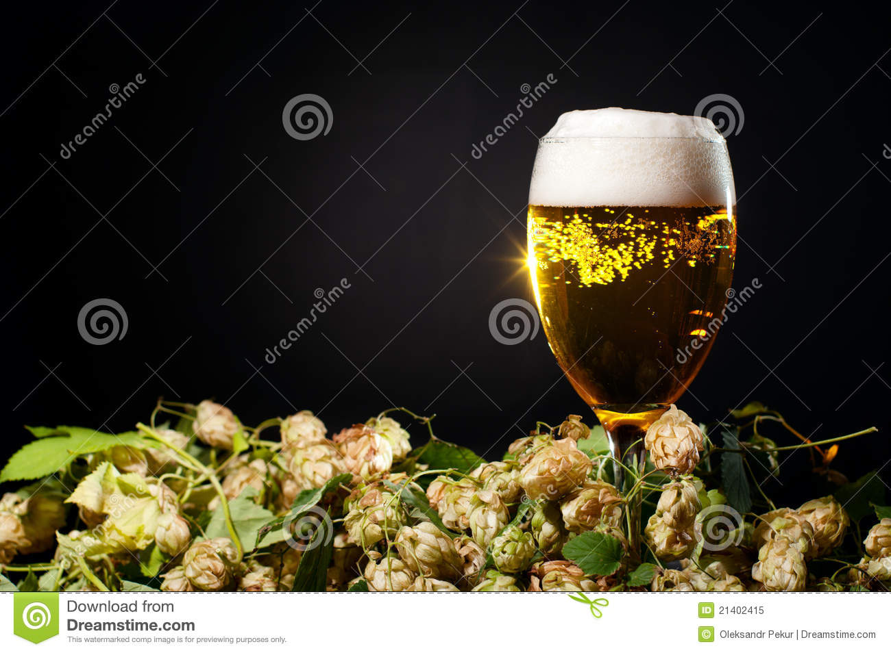 Single Glass Of Beer With Hop Royalty Free Stock Photo   Image