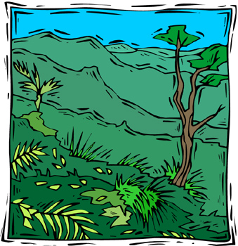 Tropical Rainforest Clipart 060711  Vector Clip Art   Free Clipart