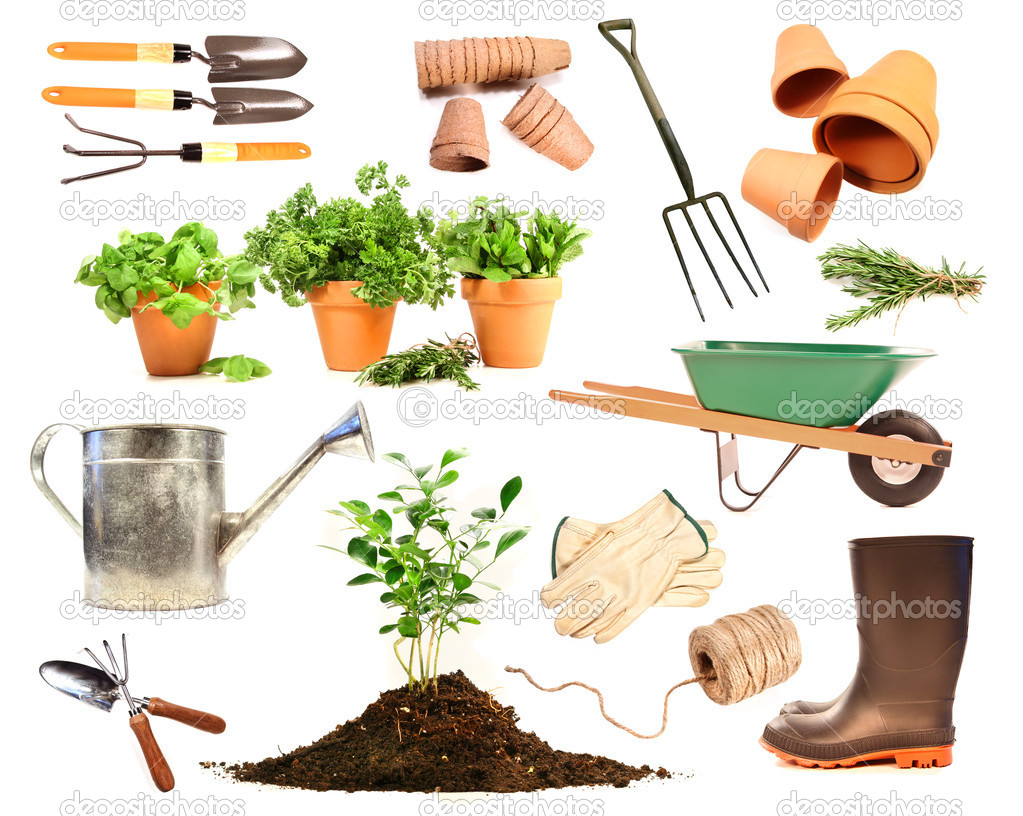 Variety Of Objects For Spring Planting On White   Stock Photo    