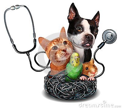 Veterinary Care And Pet Medicine Concept As A Group Of Domesticated