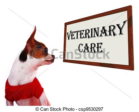 Veterinary Care Sign Showing Pet Clinic Or Hospital   Csp9530297