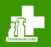Veterinary Care Stock Vectors Illustrations   Clipart