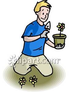 Young Man Planting Spring Flowers   Royalty Free Clipart Picture