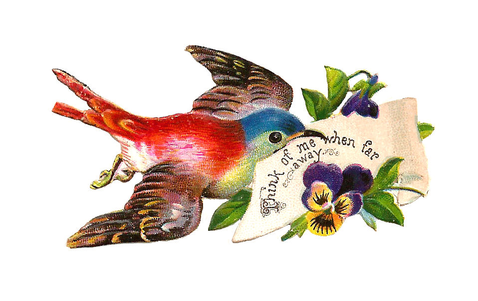 Bird Clip Art From Victorian Scraps With Purple Pansies And Sentiment