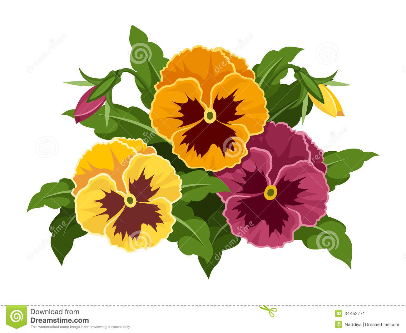 Displaying 18  Images For   Pansy Flower Clip Art   