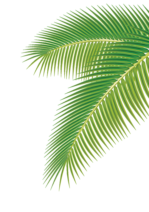 Palm Leaf Template Http   Freedesignfile Com 7418 Set Of Green Palm