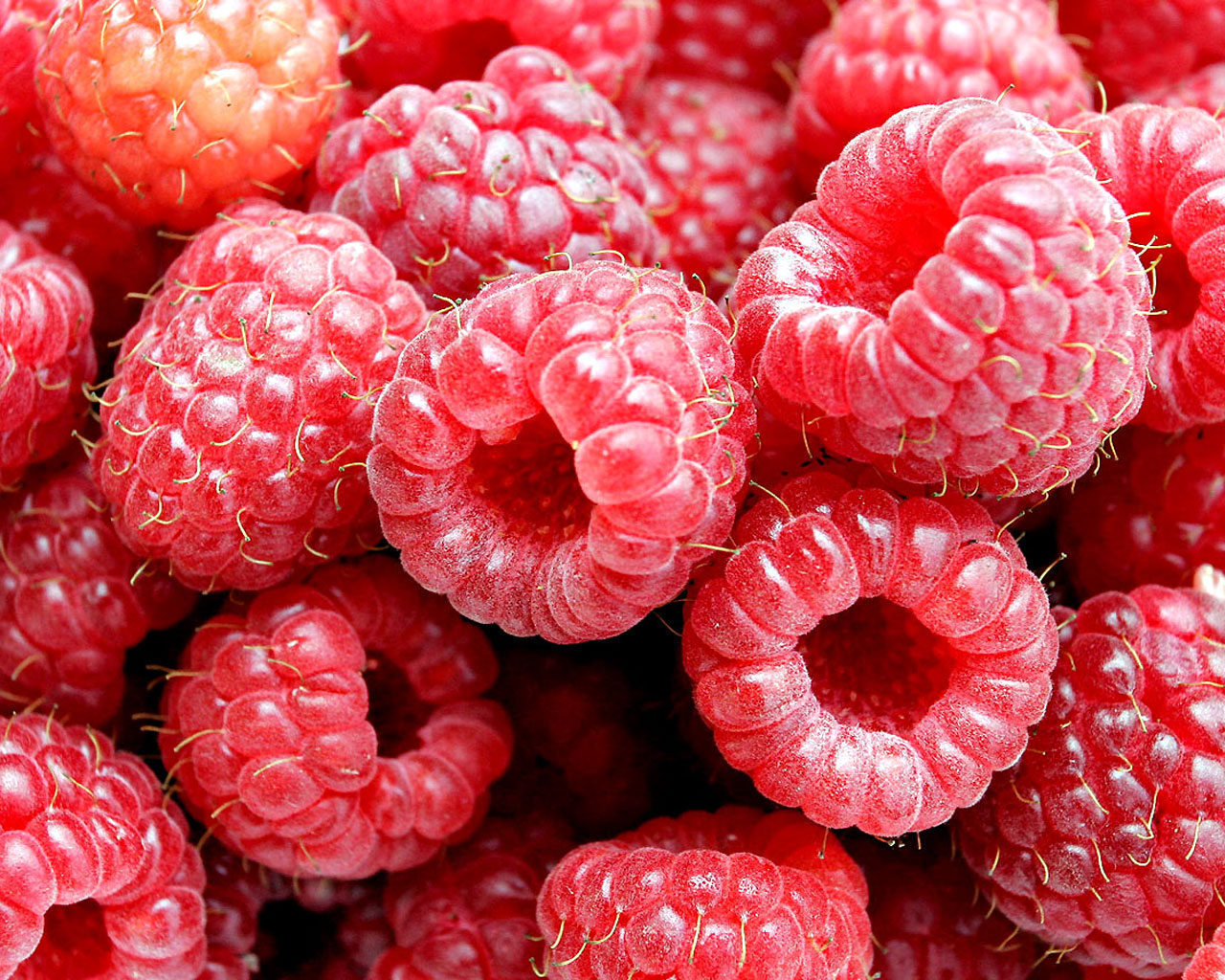 Raspberry   Food Wallpaper  4178406    Fanpop