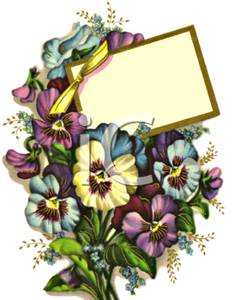 Vintage Floral Design Of Pansies With A Blank Note   Royalty Free